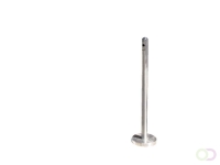 Staande asbak Securit RVS rookpaal 100x6 cm excl. voet