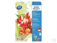 Avery Fotopapier Premium Inkjet Inkjetprinter, A4, 250 g/m², glanzend 2556-20