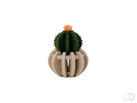 Bol Cactus akoestiekdempende plant