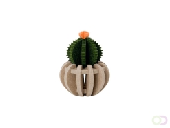 Bol Cactus akoestiekdempende plant