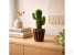 Cowboy Cactus akoestiekdempende plant