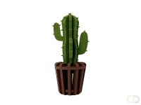 Cowboy Cactus akoestiekdempende plant