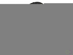 DX4 Winterjas maat Small, Black