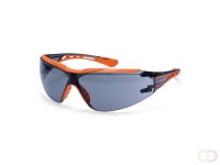 Dynamic KN Veiligheidsbril maat , Grey
