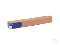 Epson Photo Paper Gloss, 17" x 30,5 m, 250g/m² (C13S041892)