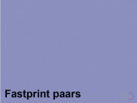 KOPIEERPAPIER FASTPRINT A4 80GR PAARS 500VEL