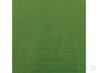 Canson kraftpapier ft 68 x 300 cm, groen