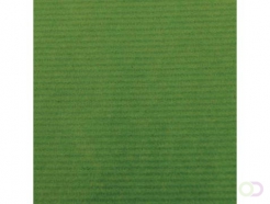 Canson kraftpapier ft 68 x 300 cm, groen