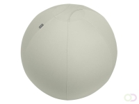 Actieve zitbal Leitz Ergo 75cm anti-rol lichtgrijs