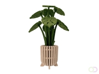 Monstera akoestiekdempende plant