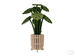 Monstera akoestiekdempende plant
