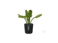 Monstera light akoestiekdempende plant
