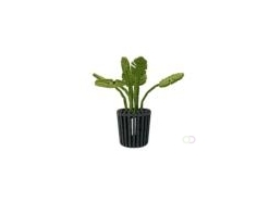Monstera light akoestiekdempende plant