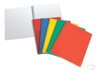 Schrift Aurora 75x110mm ruit 5x5mm 160 pagina's 60gr assorti