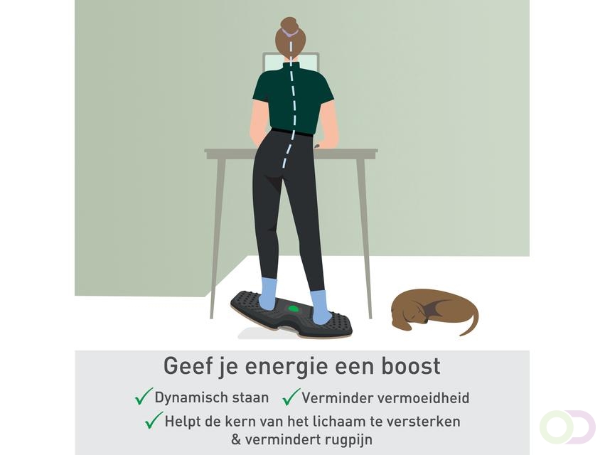 Balansbord Leitz Ergo actief