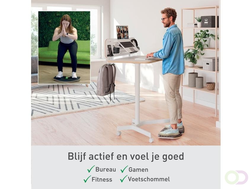 Balansbord Leitz Ergo actief