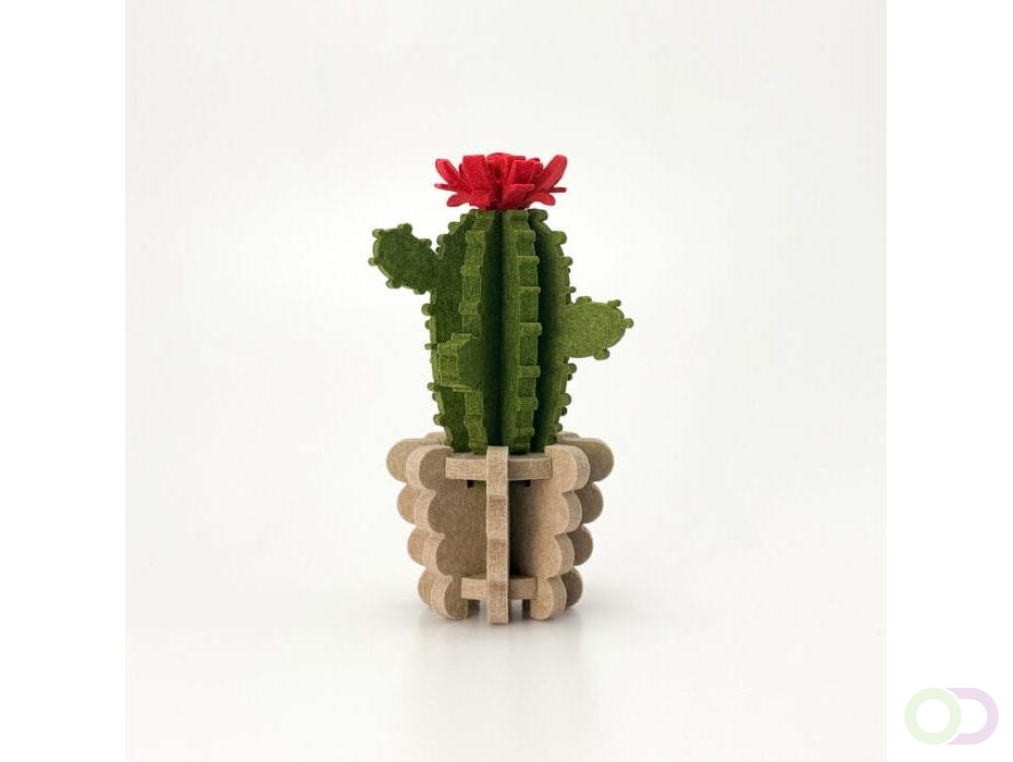 Bloem Cactus akoestiekdempende plant