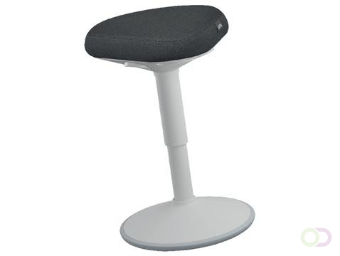 Leitz Ergo Wiebel Zitkruk met Gasveer (47 - 64 cm)