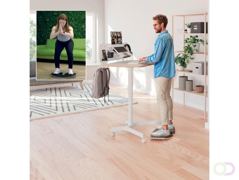 Balansbord Leitz Ergo actief