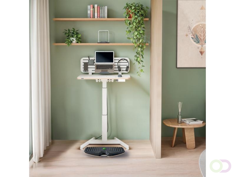 Balansbord Leitz Ergo actief
