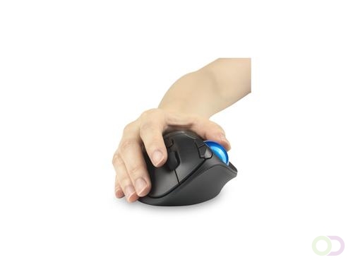 Kensington Pro Fit Ergo TB450 muis Kantoor Rechtshandig RF-draadloos Bluetooth Trackball 1600 DPI (K72194WW)