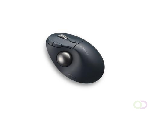 Kensington Pro Fit Ergo TB550 muis Kantoor Rechtshandig RF-draadloos Bluetooth Trackball 1600 DPI (K72196WW)