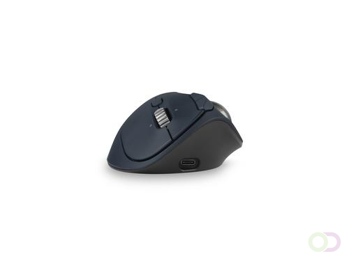 Kensington Pro Fit Ergo TB550 muis Kantoor Rechtshandig RF-draadloos Bluetooth Trackball 1600 DPI (K72196WW)