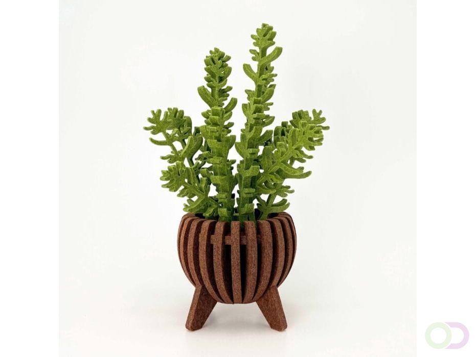 Struik akoestiekdempende plant